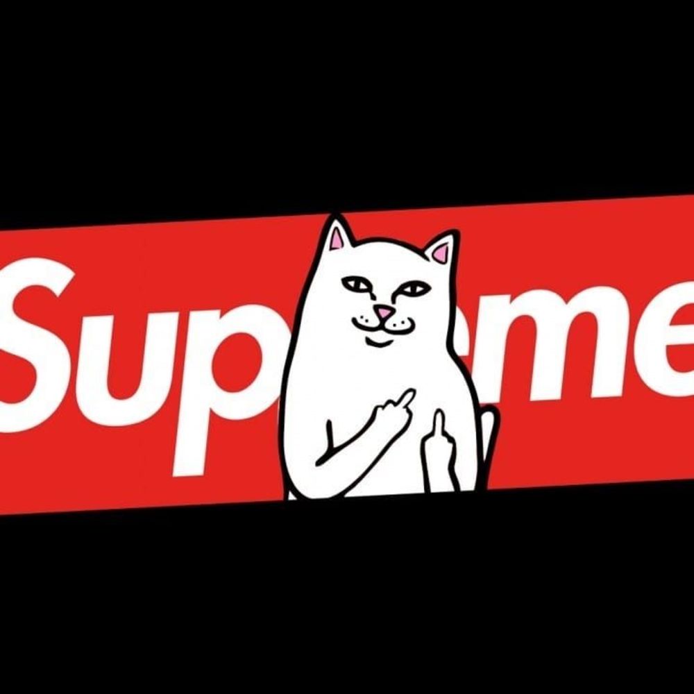 Meet your Posher, Fernando perez